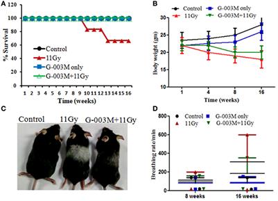 A Combination of Podophyllotoxin and Rutin Alleviates Radiation-Induced Pneumonitis and Fibrosis through Modulation of Lung Inflammation in Mice